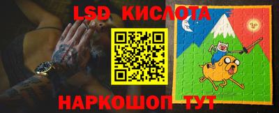 индика Заводоуковск