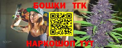 индика Заводоуковск