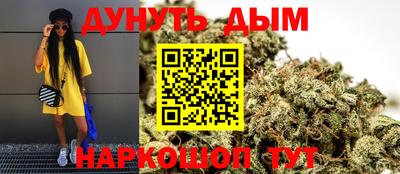 индика Заводоуковск
