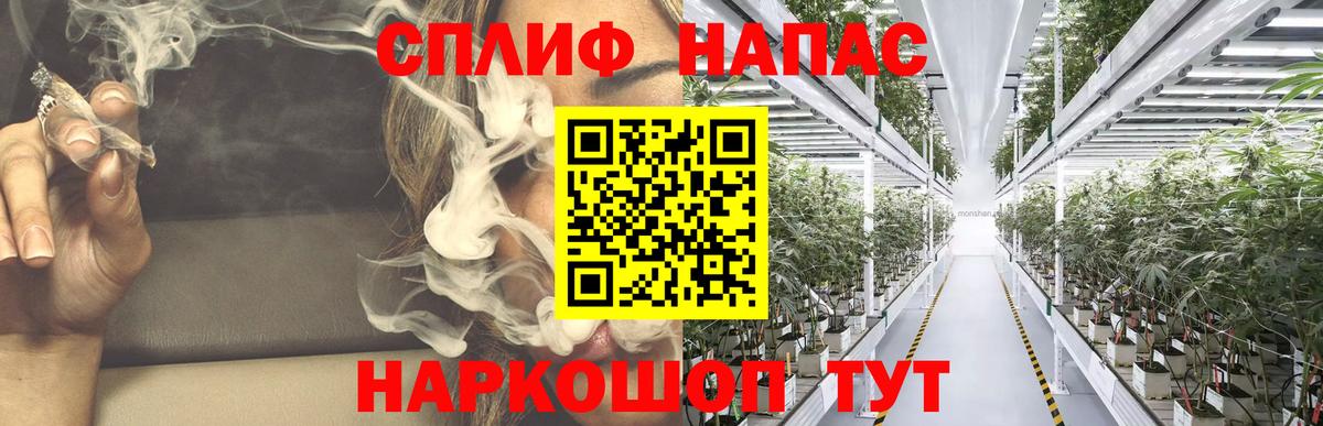 Конопля конопля Миллерово